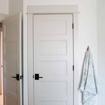 bathroom_new_door
