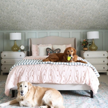 61.dogs_
