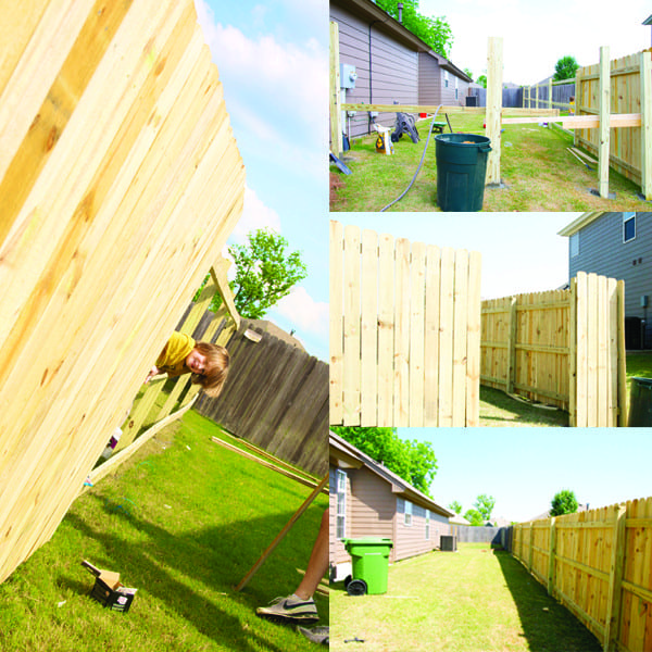 fence