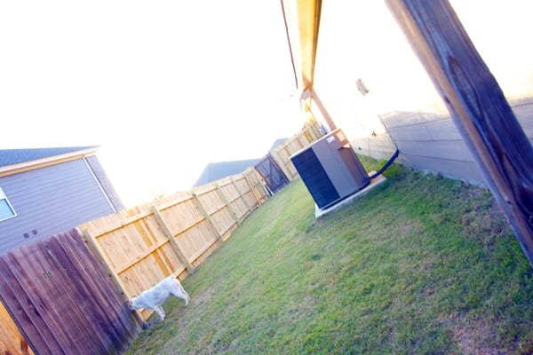 how_to_make_your_yard_bigger2