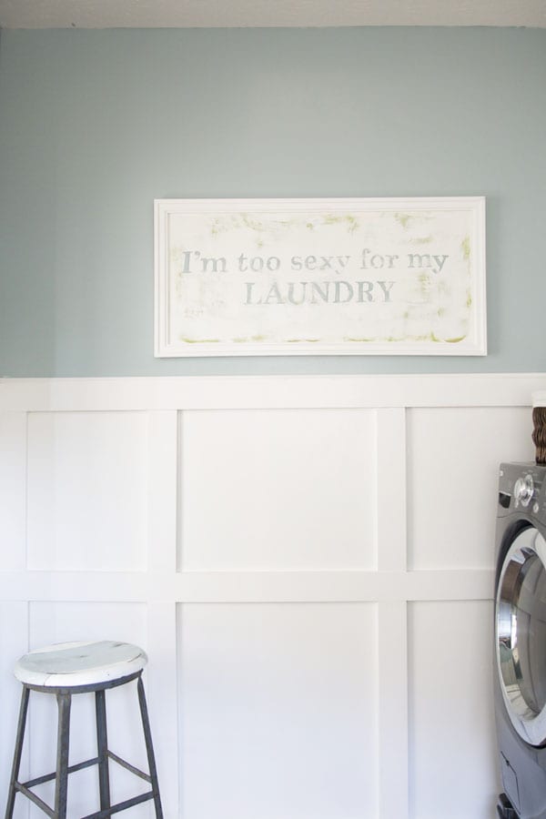 Im_too_sexy_for_my_laundry1