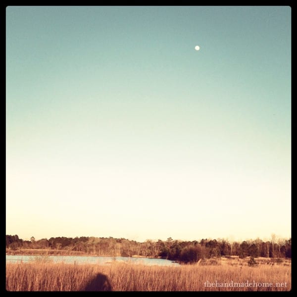 moon