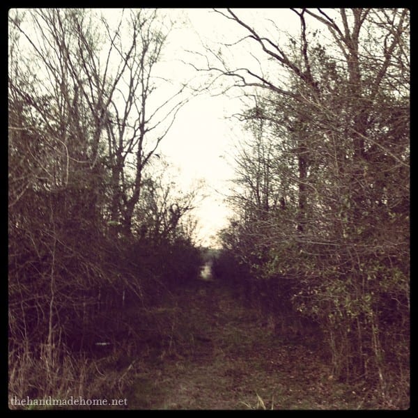 beyond the walls