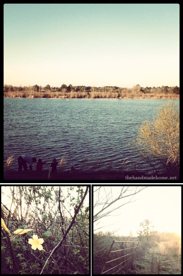 quarry