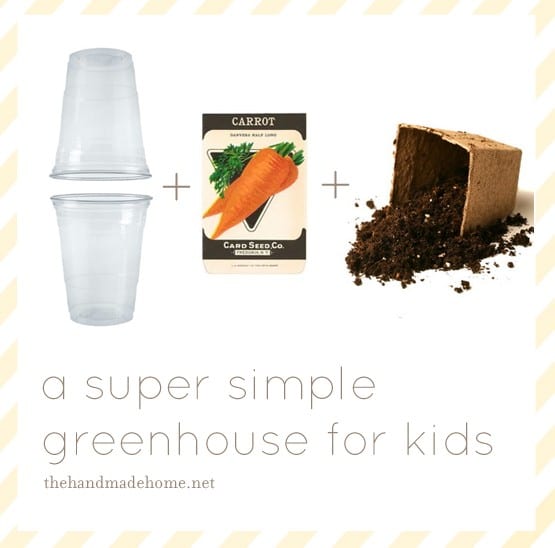 simple greenhouse for kids