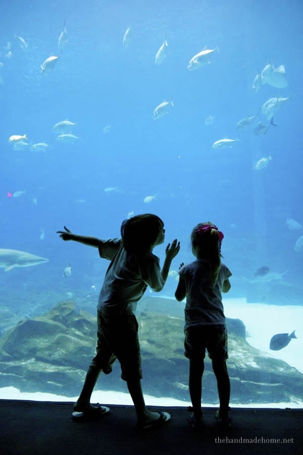 the georgia aquarium, lego land, epical moments and death by spork.