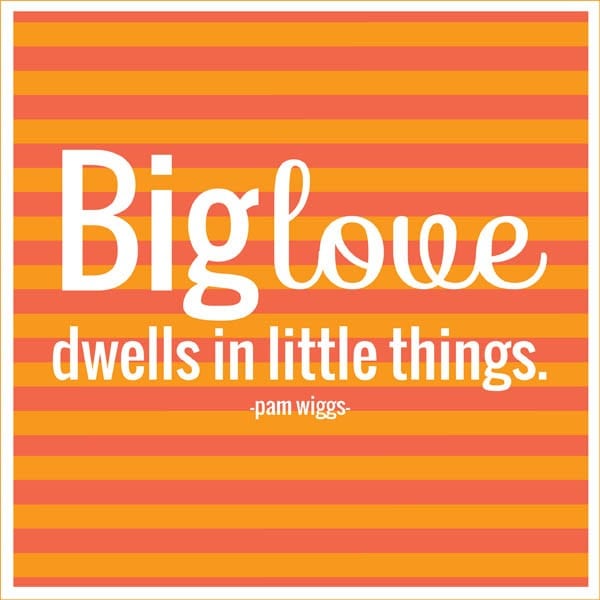 big love : there’s an app for that