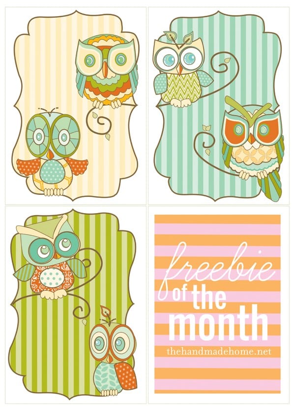 owls2