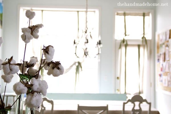 cotton_in_kitchen