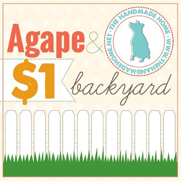 $1 backyard