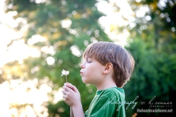 aiden_and_dandelion