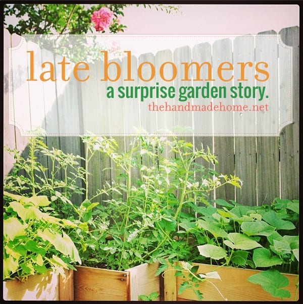 late_bloomers