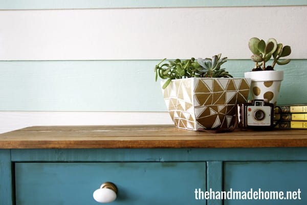 pretty painted succulents