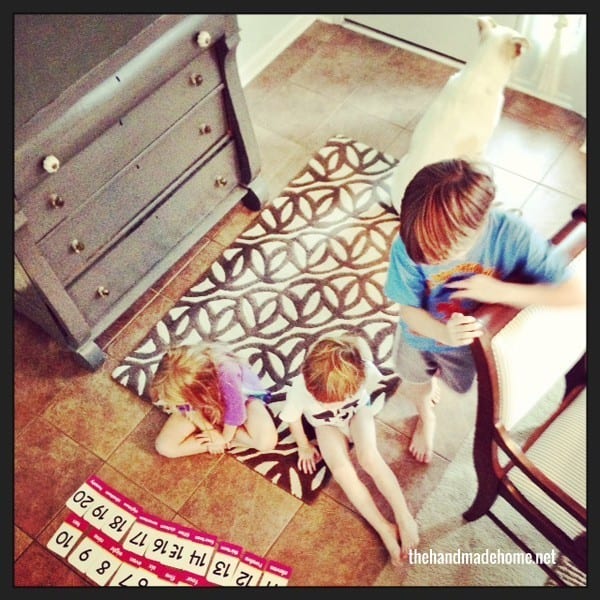 the home schooling diaries – part deux