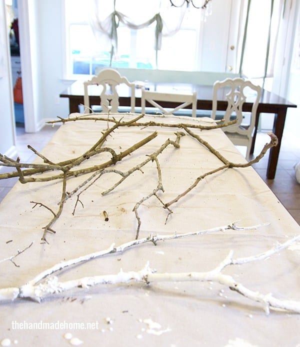 painted_branches