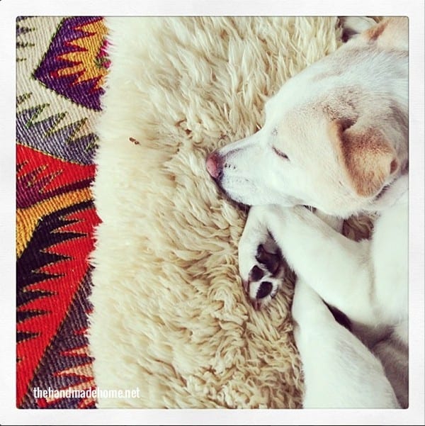 rest