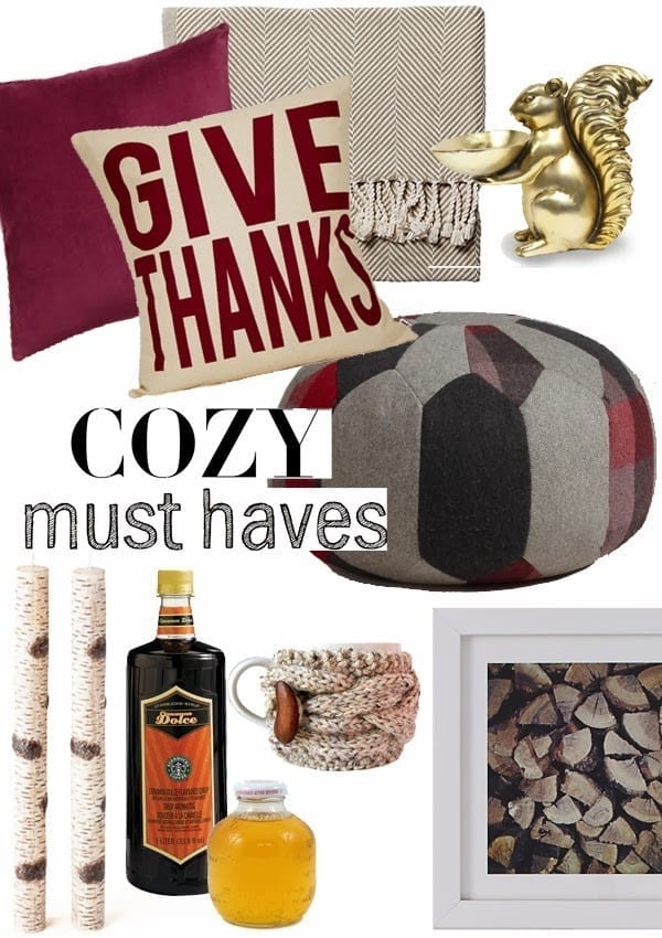 cozy fall must haves
