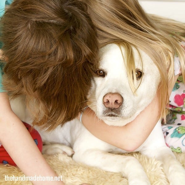 dog tales