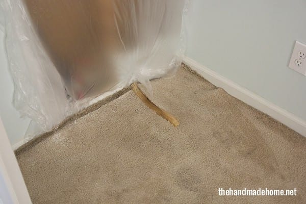 carpet_damage