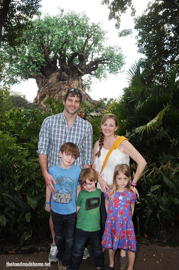 mills_animal_kingdom