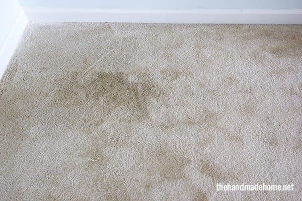 mold_walls_damage