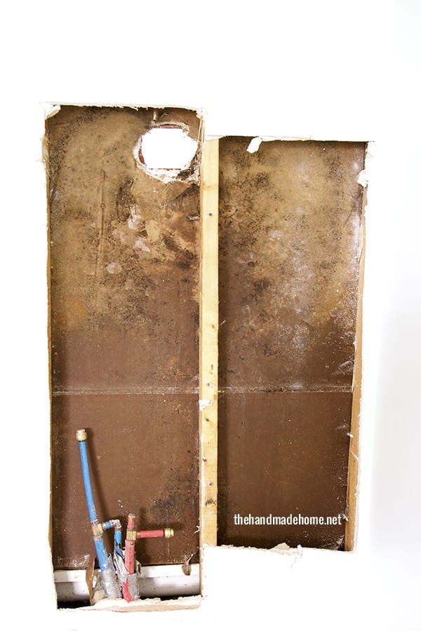 mold_walls_redo