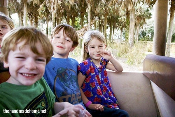 safari_animal_kingdom
