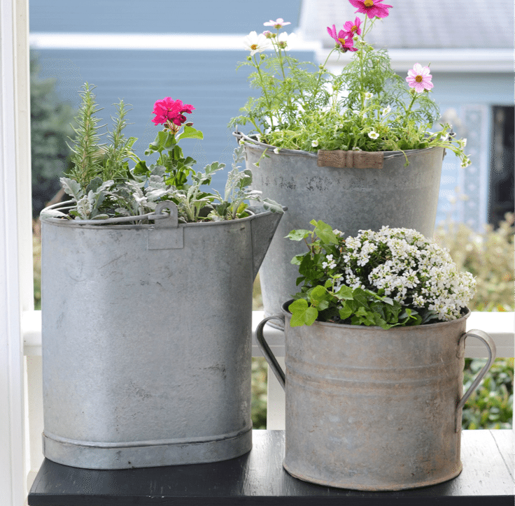 easy potted plant arrangements