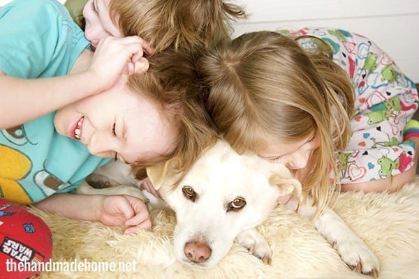 dog tales