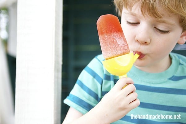 homemade_popsicles