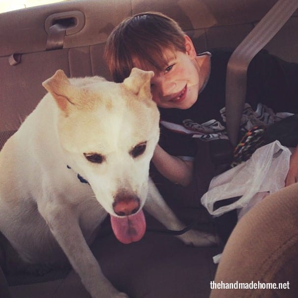 puppy_love