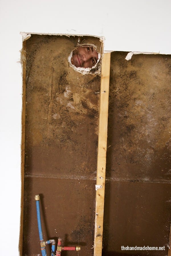 mold_in_the_walls