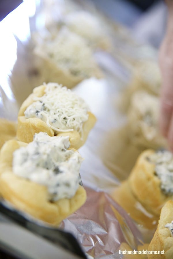 mozerella_topping