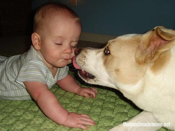 puppy love