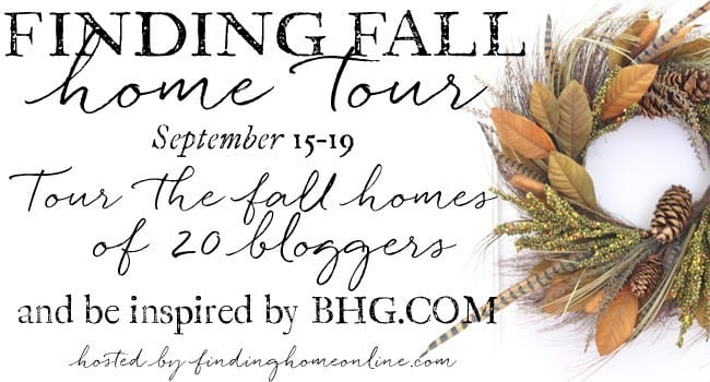 finding_fall