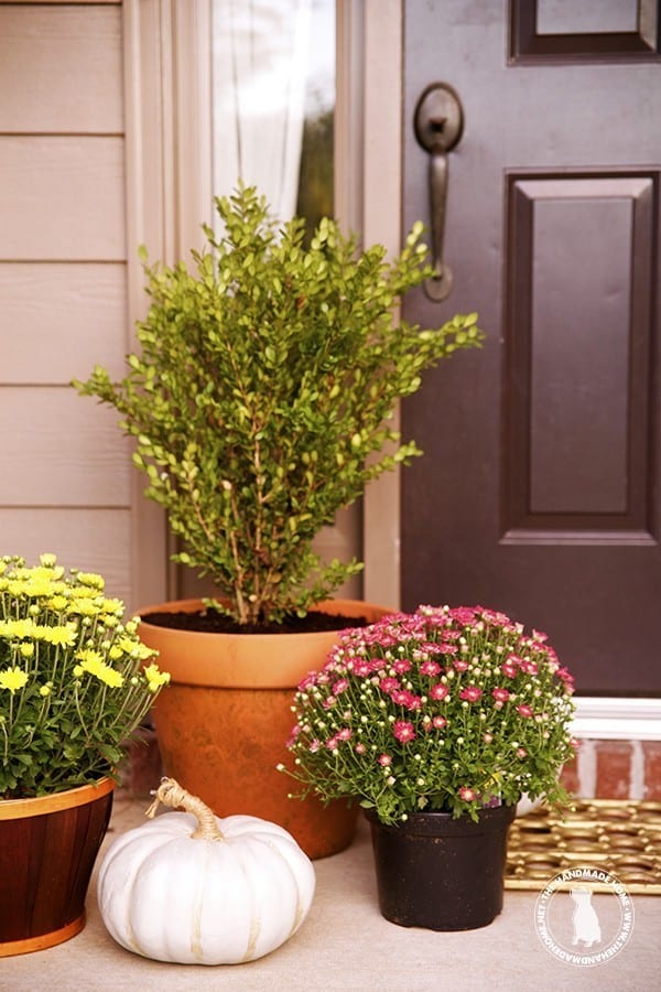 front_door