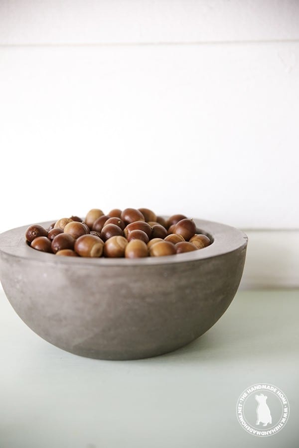 simple_acorns