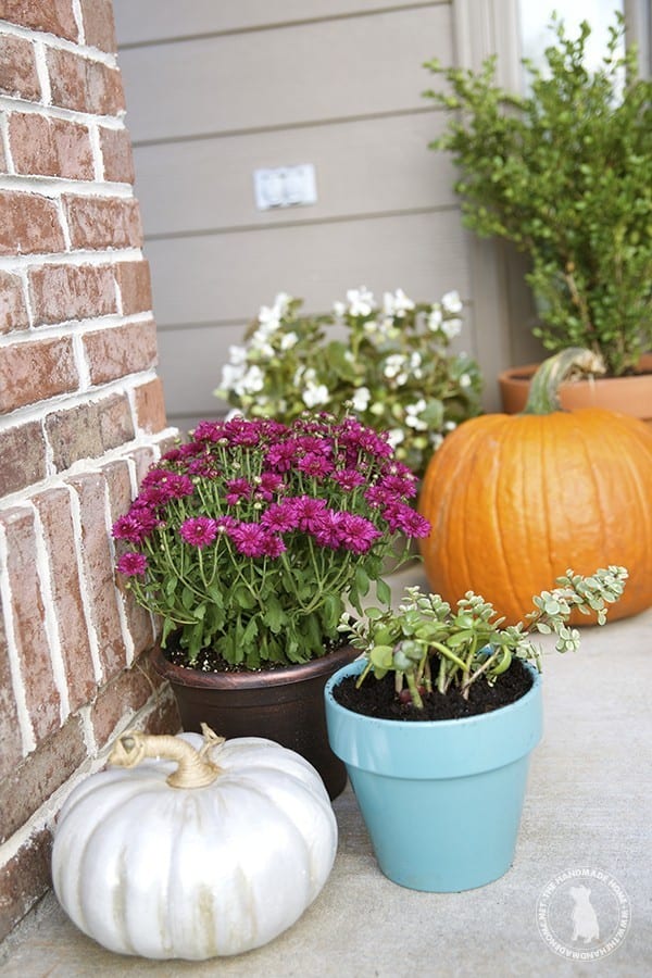 front_porch_fall
