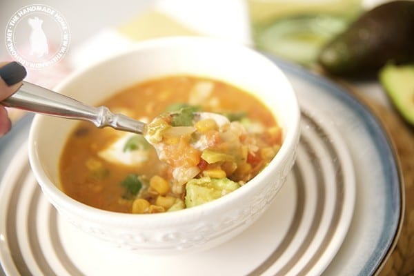 chicken enchilada soup