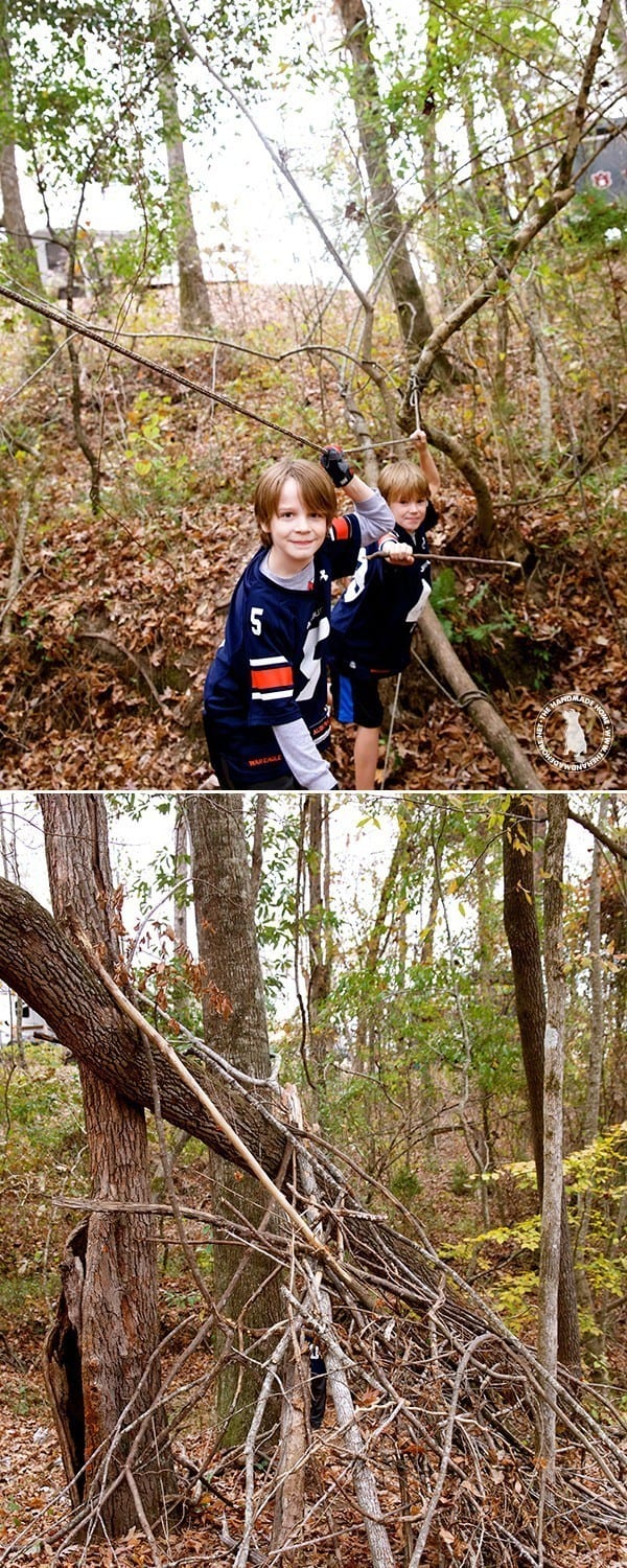 fun_in_the_woods