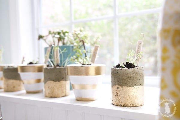 diy_windowsill_plant_markers