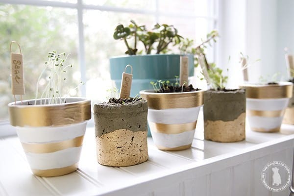 herb_garden_how_to