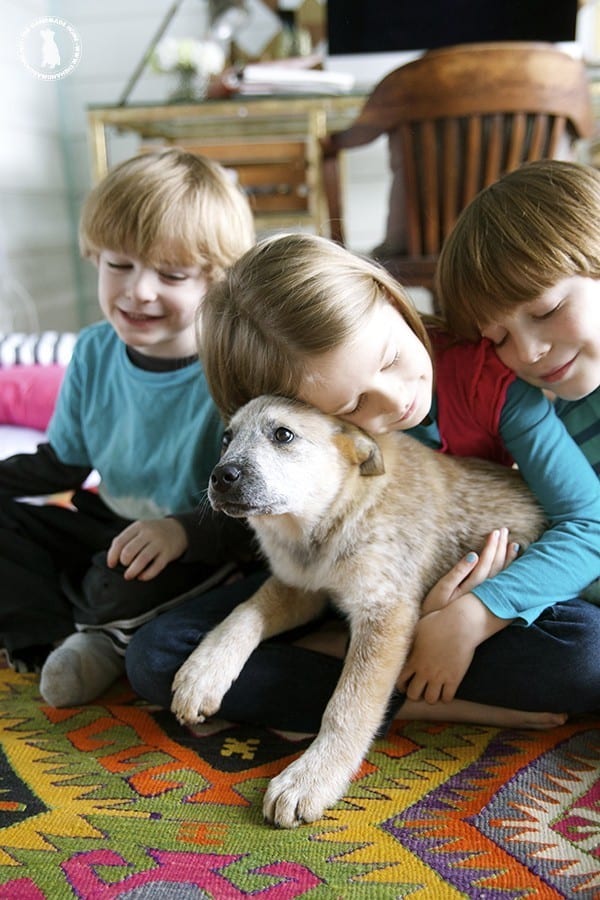kids_and_puppies