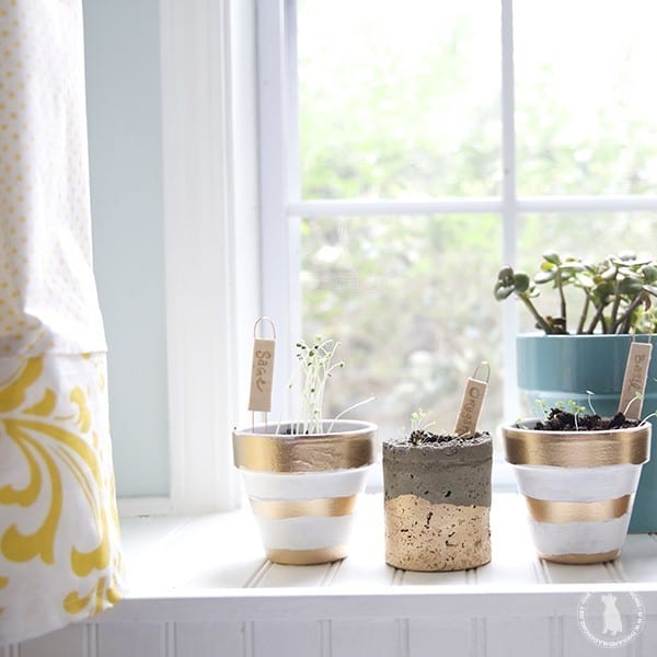make_your_own_plant_markers