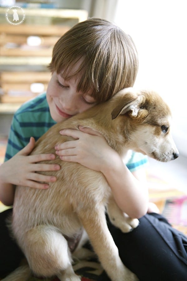 puppy_and_boy