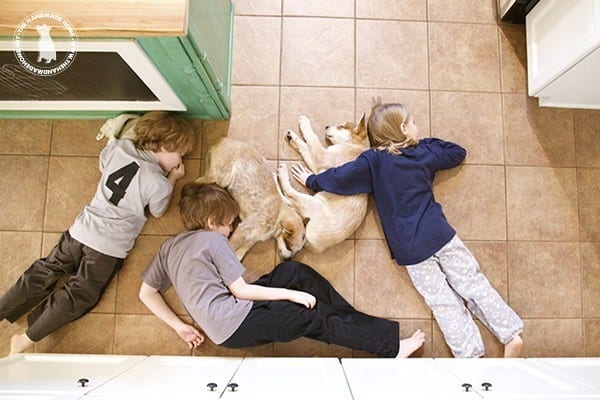 welcome_to_the_pack