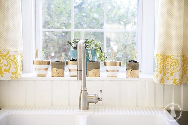 windowsill_herb_garden