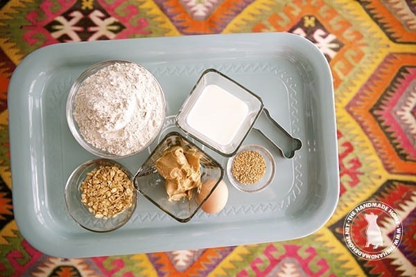 dog_biscuit_ingredients