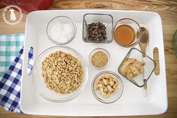 granola_bites_ingredients