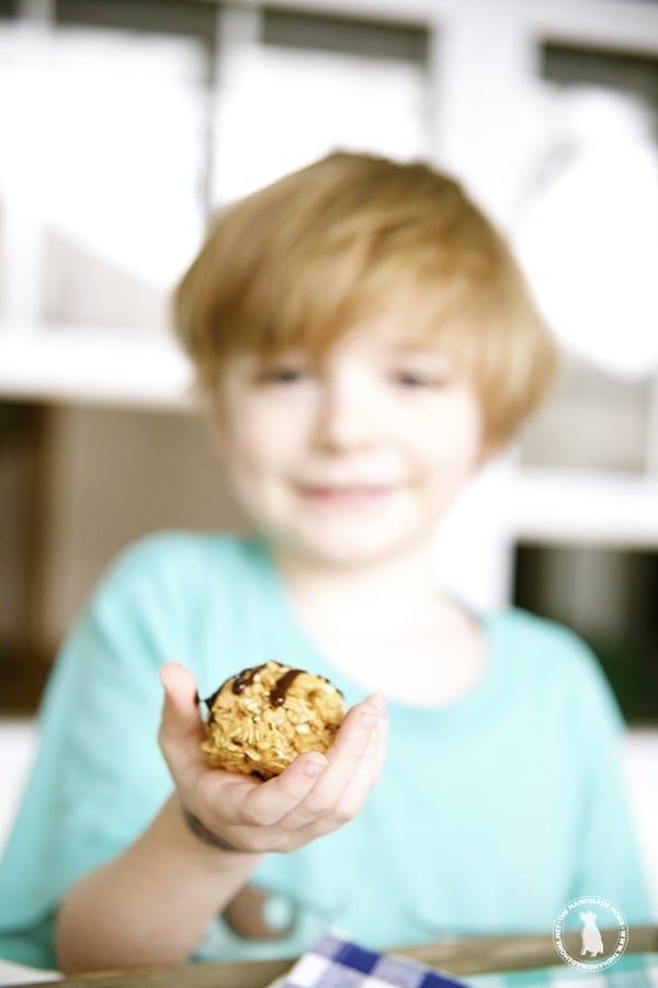 no_bake_granla_bites